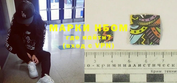 ГАЛЛЮЦИНОГЕННЫЕ ГРИБЫ Горно-Алтайск