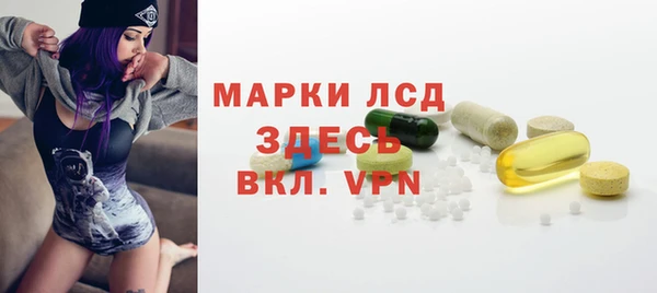 ГАЛЛЮЦИНОГЕННЫЕ ГРИБЫ Горно-Алтайск