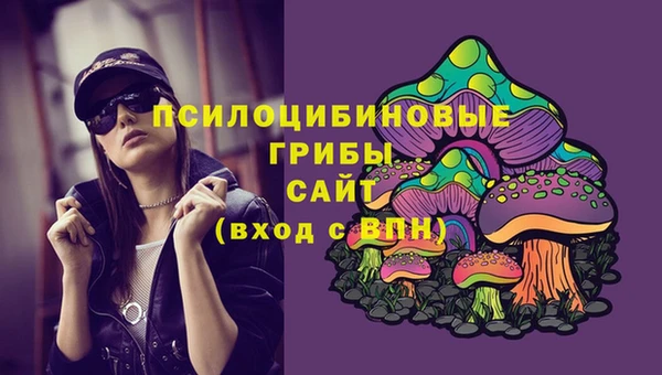 эйфоретик Горнозаводск