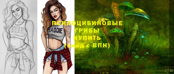 ГАЛЛЮЦИНОГЕННЫЕ ГРИБЫ Горно-Алтайск
