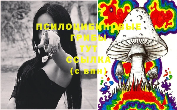 ГАЛЛЮЦИНОГЕННЫЕ ГРИБЫ Горно-Алтайск